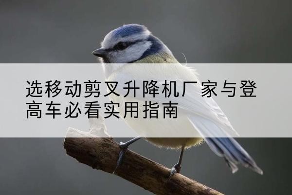 民和电动升降机厂家-选移动剪叉升降机厂家与登高车必看实用指南