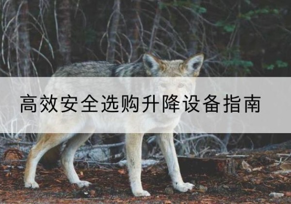 民和升降货梯厂家推荐-*安全选购升降设备指南