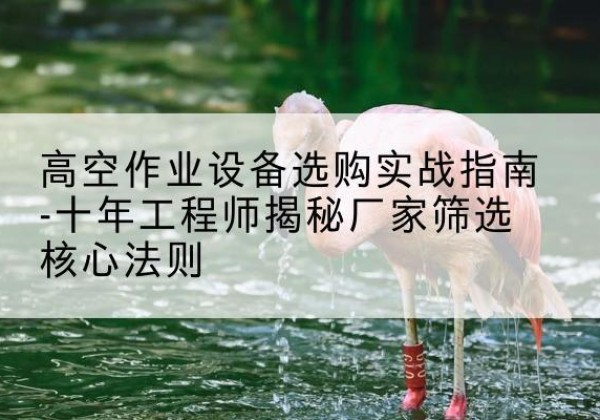 民和剪叉式升降机厂家-高空作业设备选购实战指南-十年工程师揭秘厂家筛选核心法则
